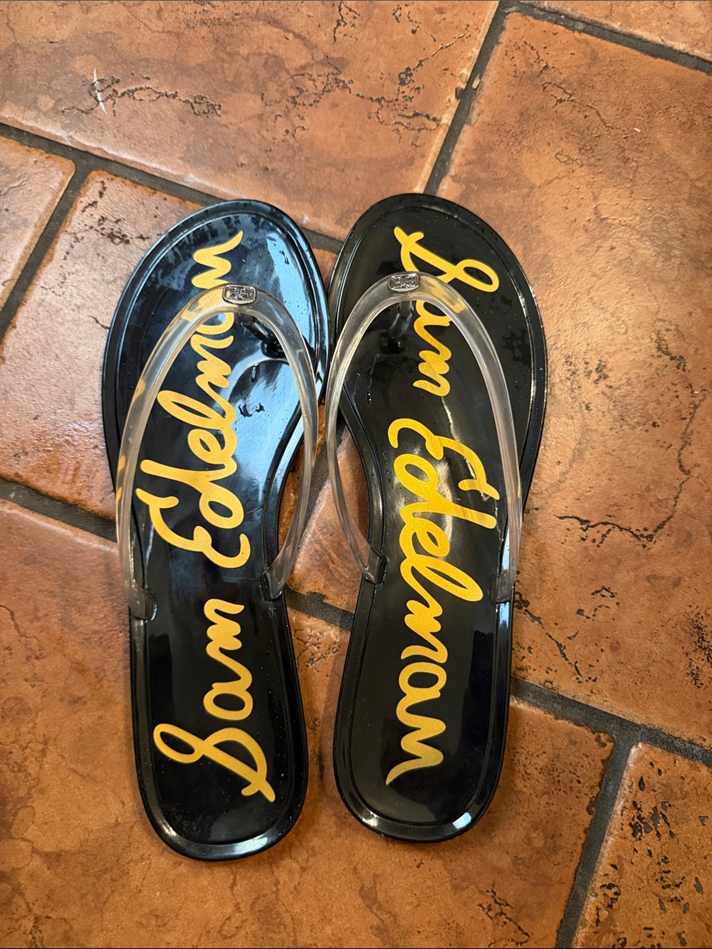 Sam Edelman Dean Clear Jelly Flip Flops